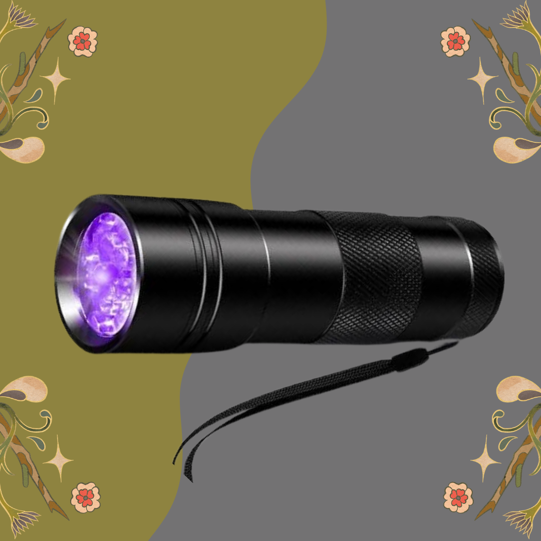UV Lampe