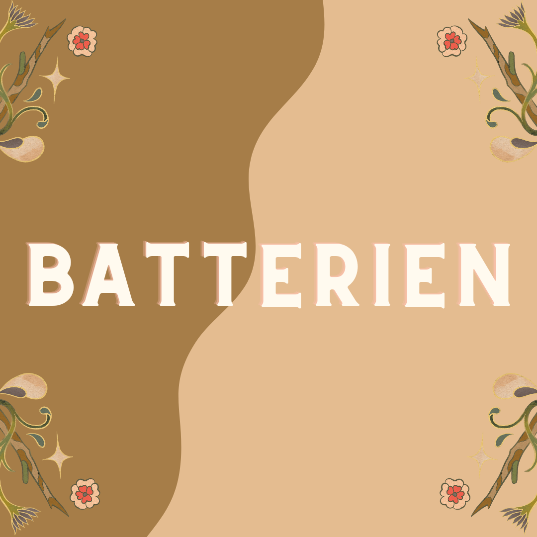 Batterien Knopfzellen für alte Beleuchtung
